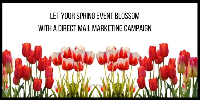 Spring Event Spring Event